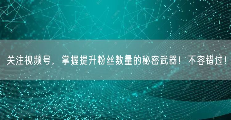 关注视频号,掌握提升粉丝数量的秘密武器!不容错过!