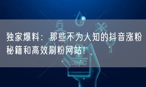 独家爆料:那些不为人知的抖音涨粉秘籍和高效刷粉网站!