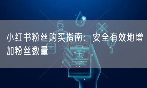 小红书粉丝购买指南：安全有效地增加粉丝数量