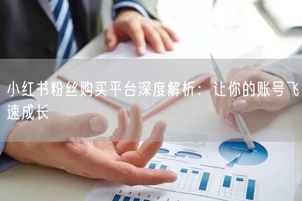 小红书粉丝购买平台深度解析:让你的账号飞速成长