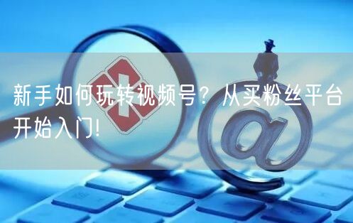 新手如何玩转视频号?从买粉丝平台开始入门!