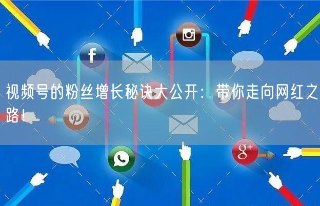 视频号的粉丝增长秘诀大公开:带你走向网红之路!