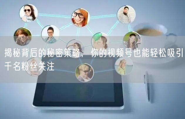 揭秘背后的秘密策略，你的视频号也能轻松吸引千名粉丝关注